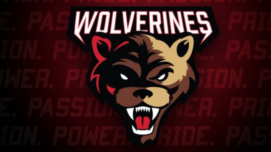 Wolverines Unveil New Logo