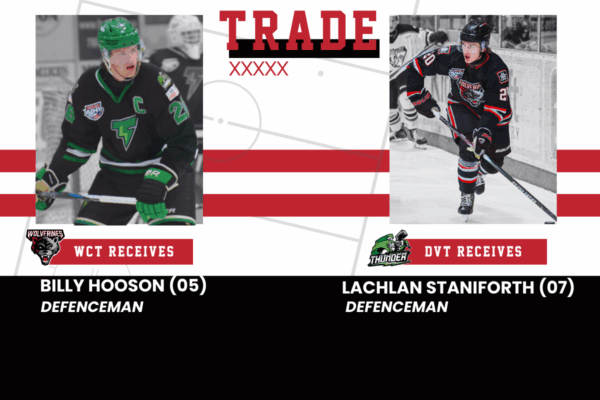 Wolverines Add Veteran Defenceman to The Mix