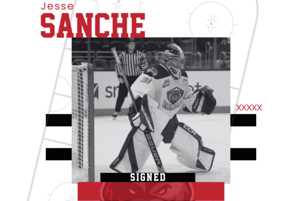 Wolverines Add Veteran Netminder Sanche