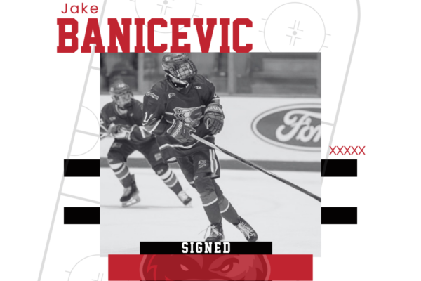 Banicevic Commits to Wolverines